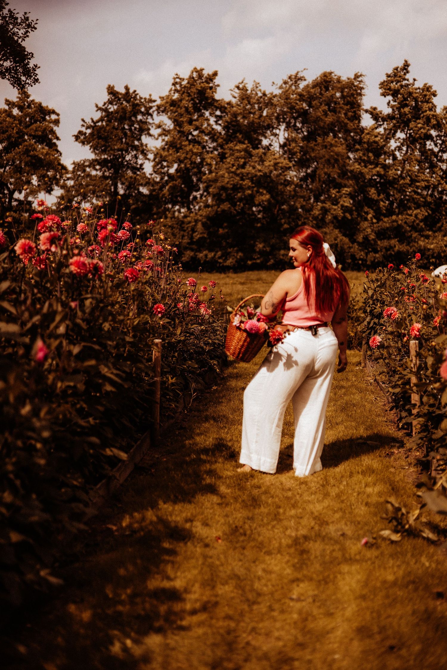 De vrouw achter de lens - Alyssa Amor fotografie