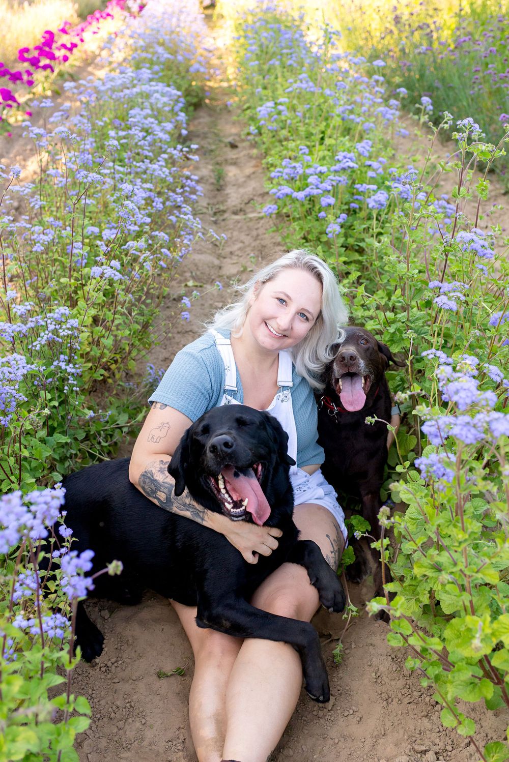 A person sits on a dirt path surrounded by purple wildflowers while cuddling with two black Labrador dogs.