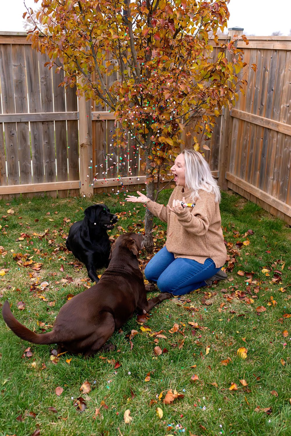 A sequence of photos shows someone falling backwards while playing with a black dog in an autumn backyard with fallen leaves.