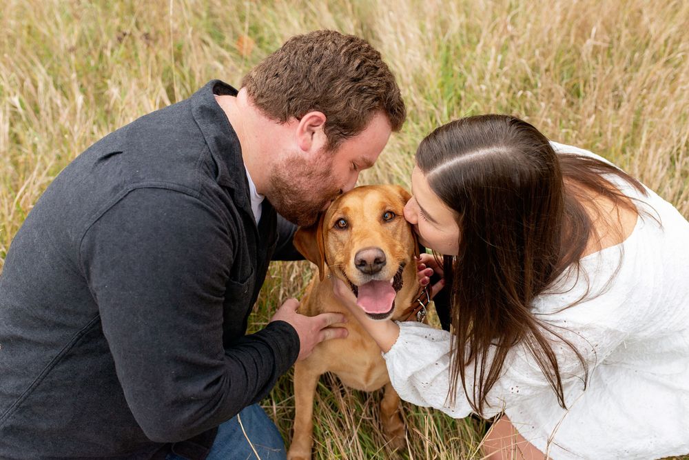 A happy brown dog receives affection from a couple in a golden grass field AT KOMOKA PROVINCIAL PARK.