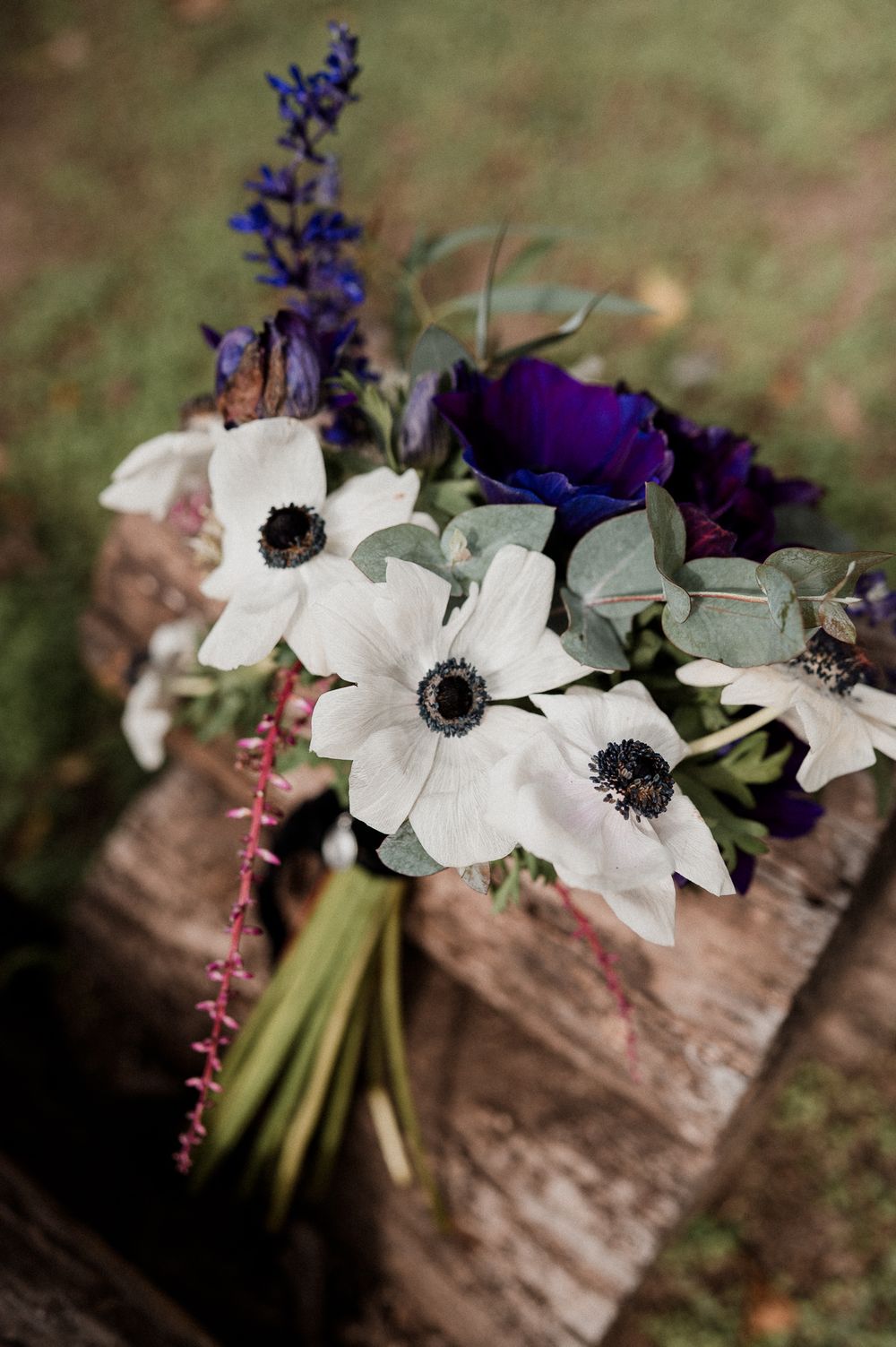 A close-up sequence of white anemone flowers with dark centers arranged with purple delphinium against rustic wood.