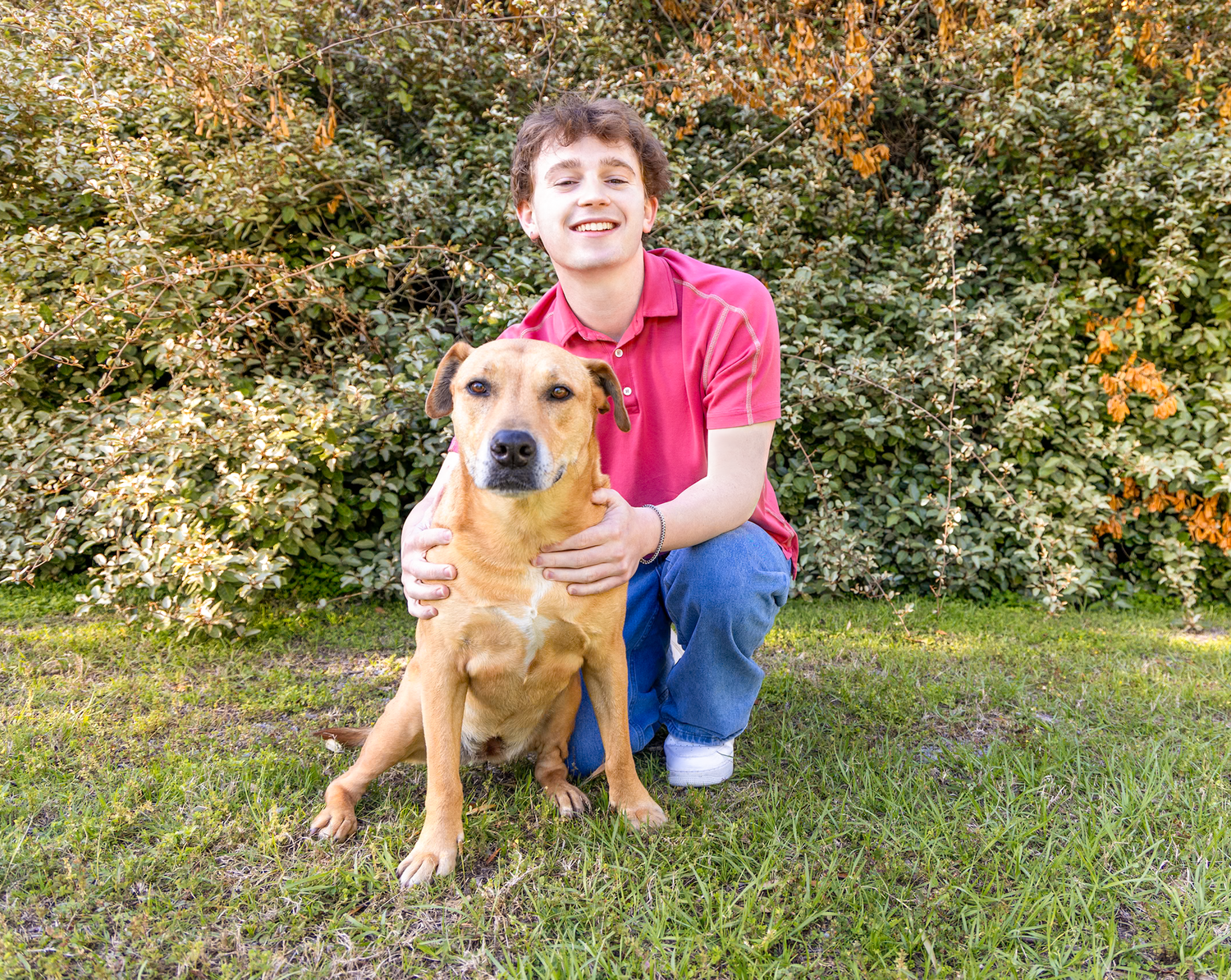 Smiling teen in red polo crouches beside golden brown dog in front of shrubs.