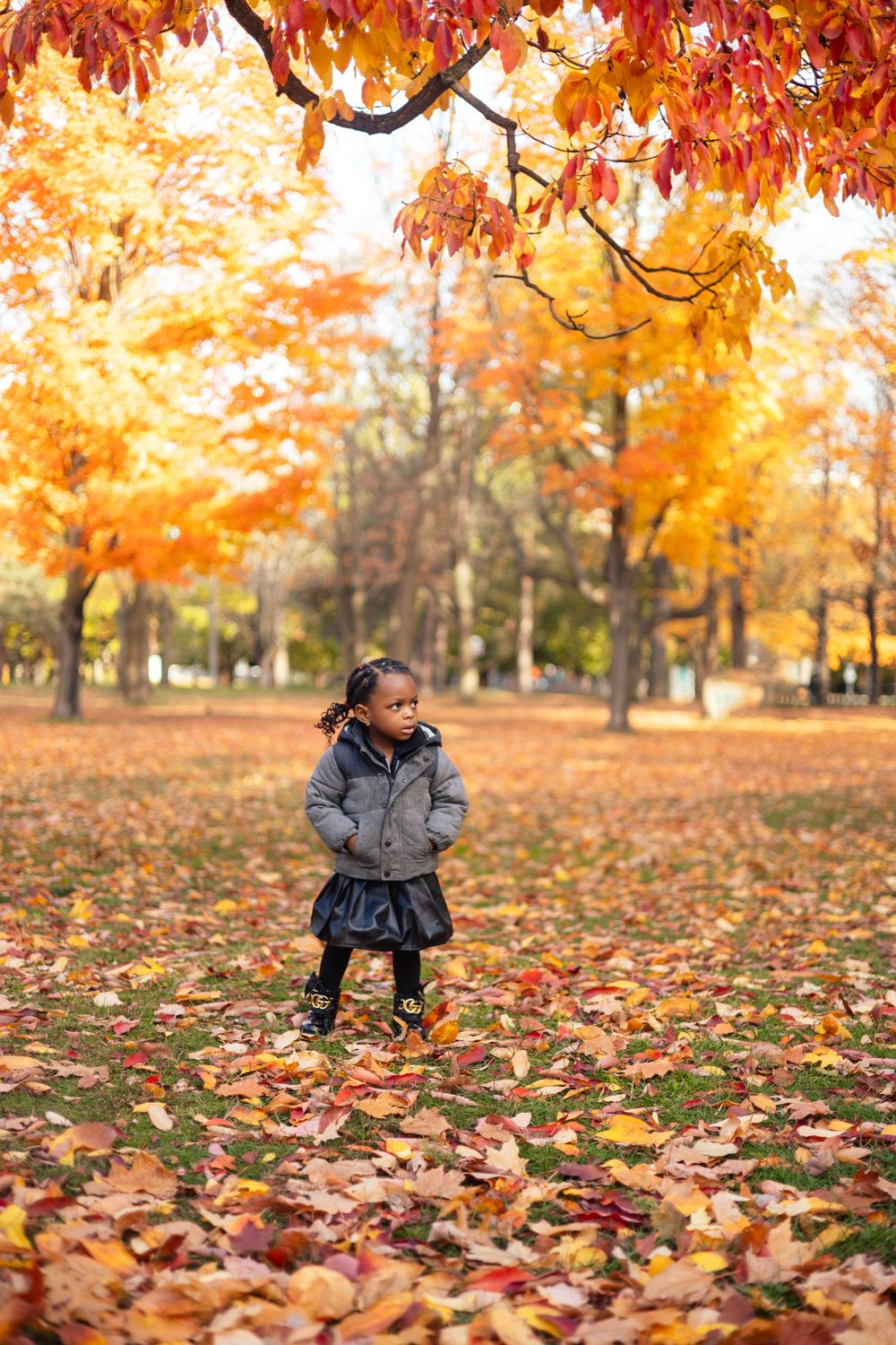 Young Black girl in gray jacket standing among colorful autumn leaves in park.
