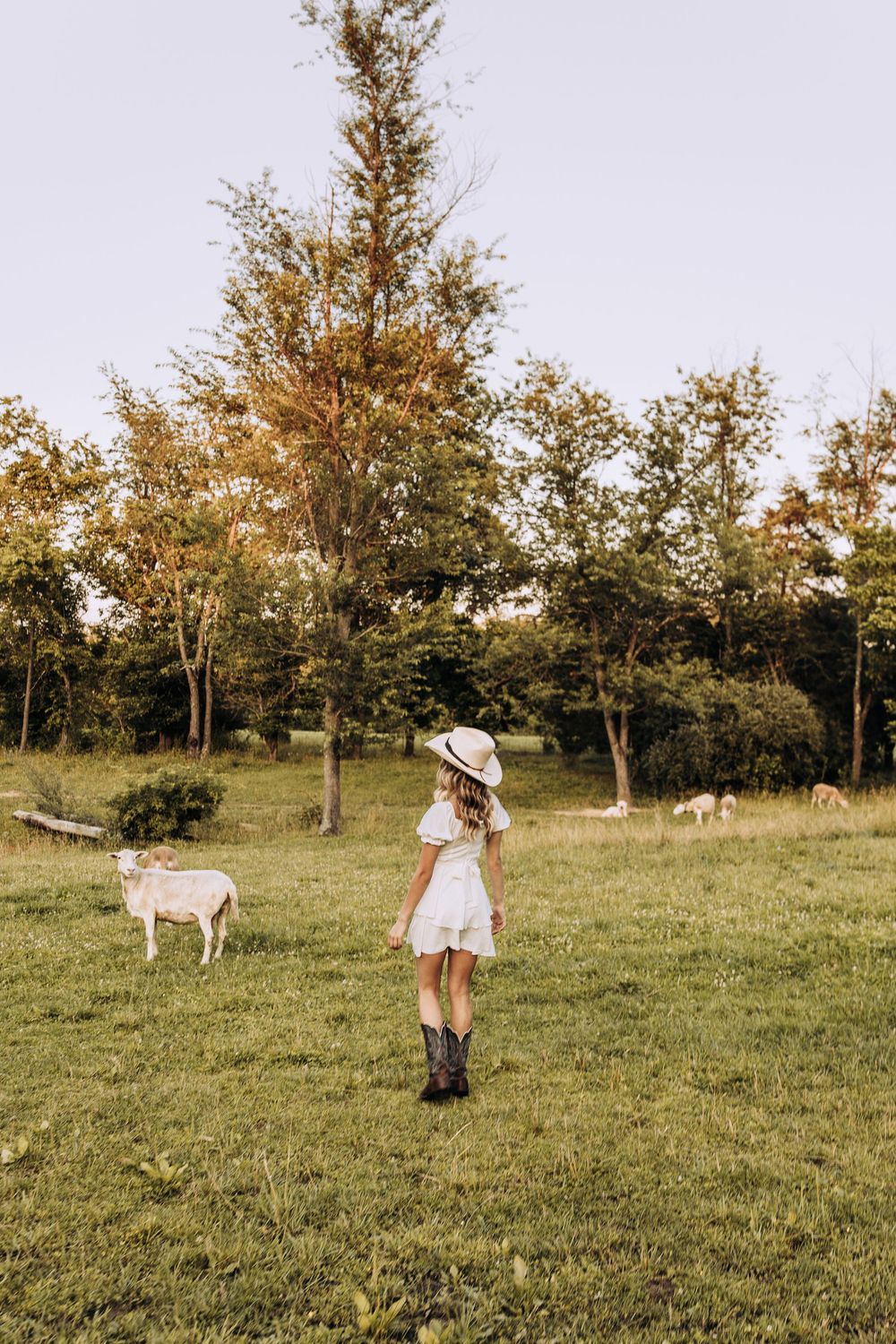 Woman in white dress and cowboy hat standing in green field with grazing goats and trees behind.