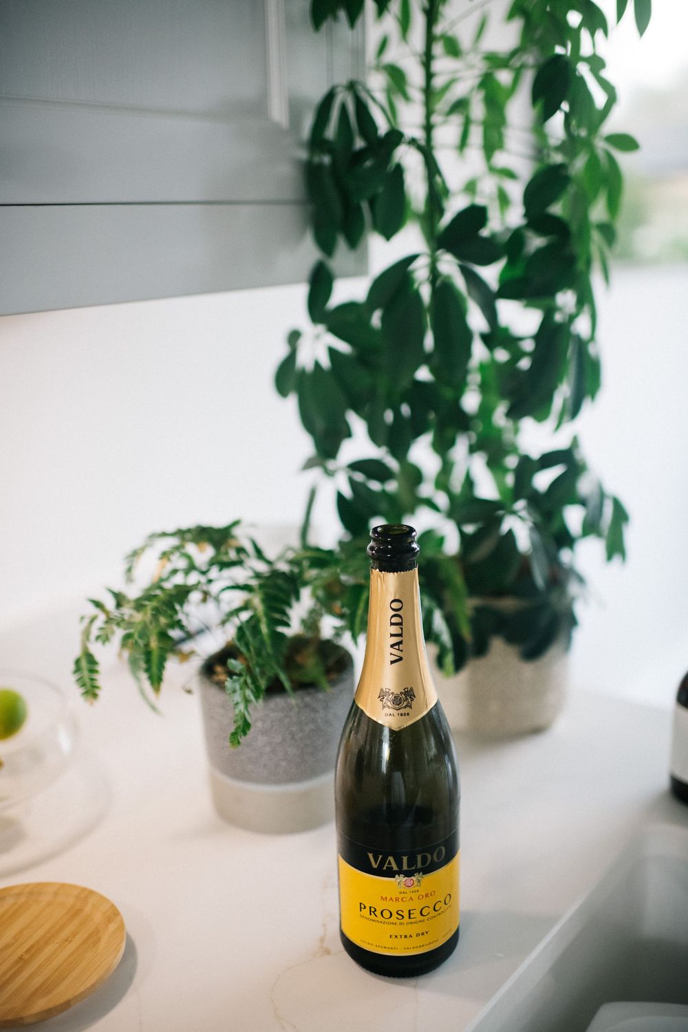 Elegant champagne and prosecco bottles displayed among green plants on a bright windowsill.