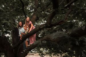A couple sits together in a large tree during a romantic outdoor photo session in nature.