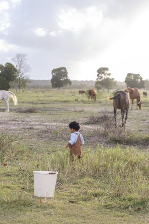 Sesiones de fotos para niños en Establos Cap Cana. Ambiente natural con caballos, luz cálida y experiencias inolvidables en Cap Cana.
