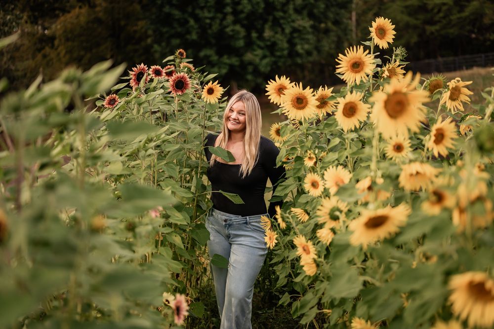 Vibrant yellow sunflowers bloom in a lush garden field during golden hour.