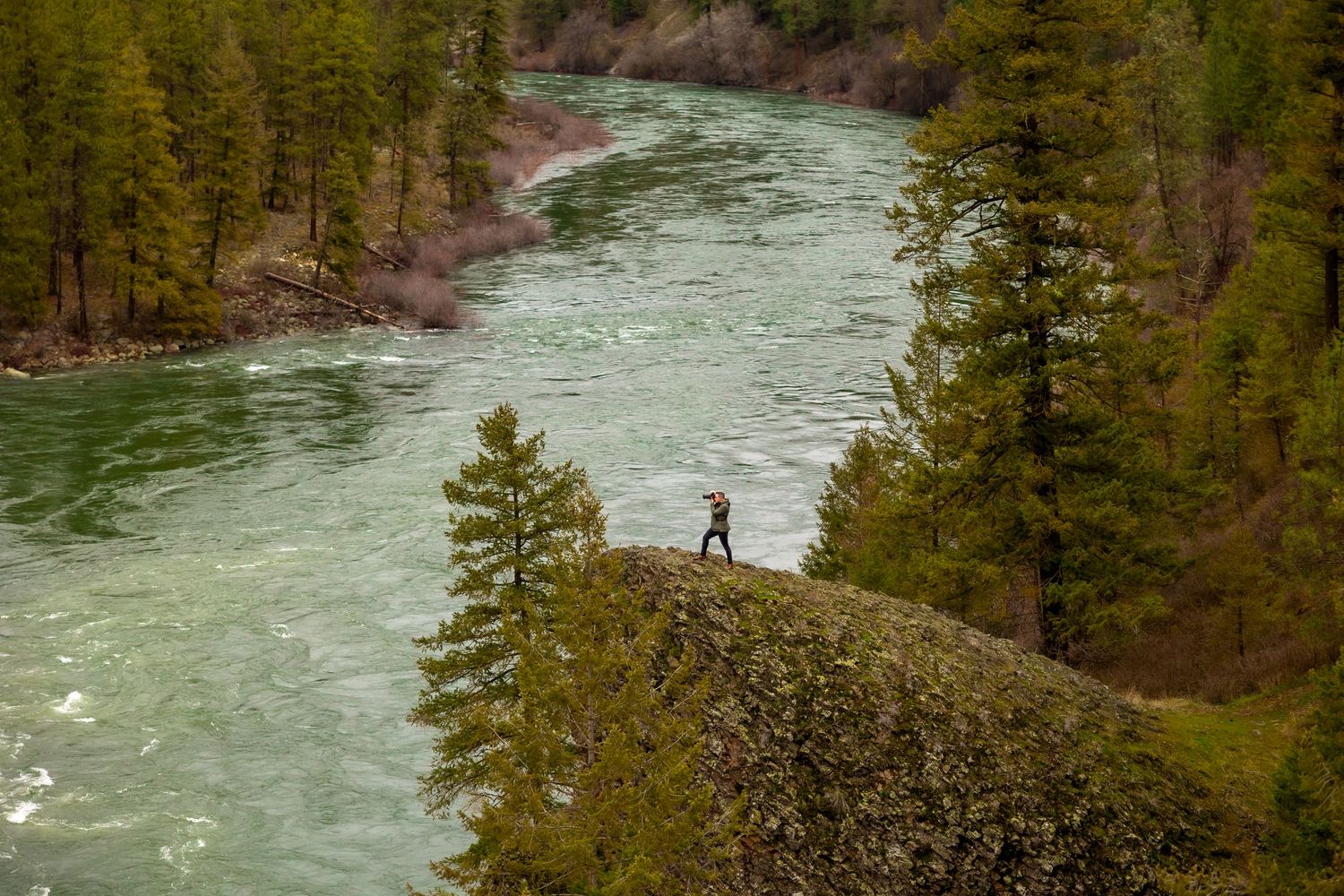 A person stands near the edge of a cliff overlooking a turquoise river winding through a pine forest landscape.