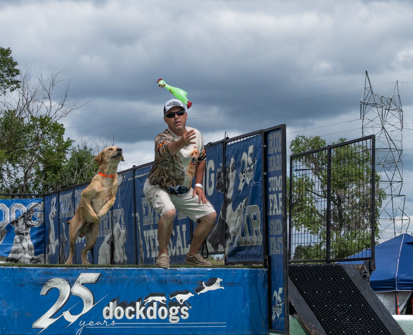 A large dog leaps high in the air while playing with a hanging rope toy against a cloudy sky.