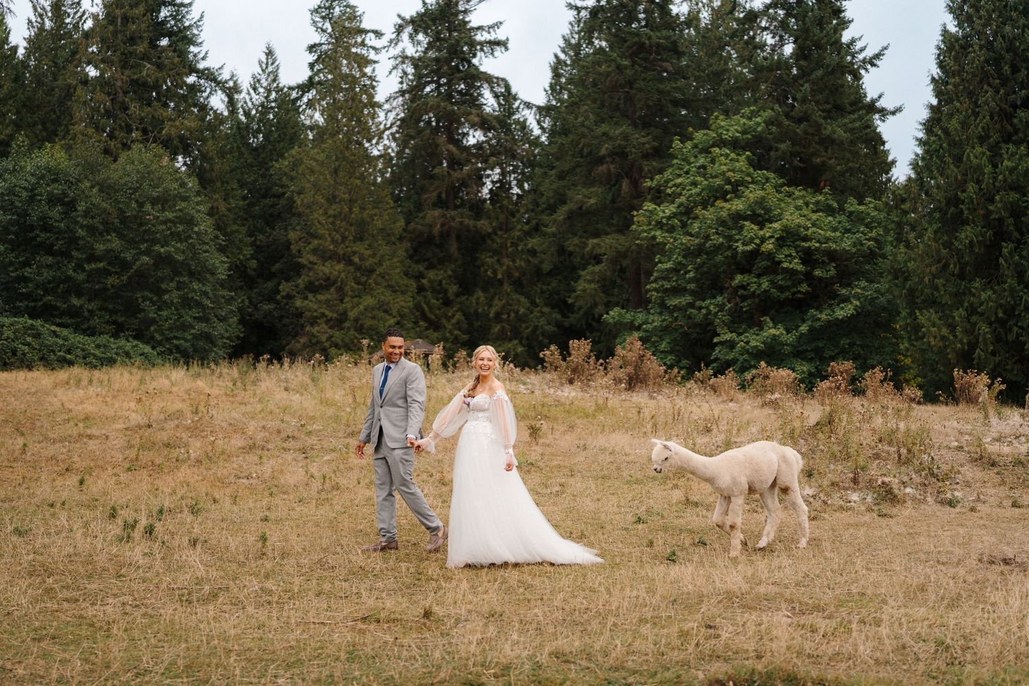 A person and their pet dog sit together on a scenic trail beneath tall evergreen trees in a peaceful forest setting.