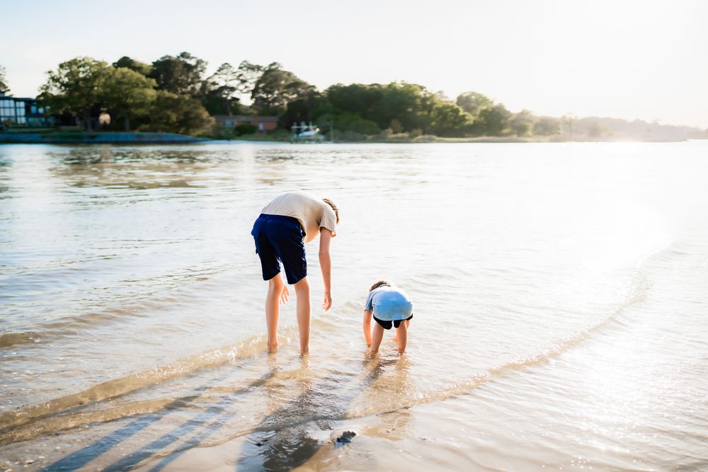 People bending down to explore the shallow waters at a beach during sunset with trees in the background.