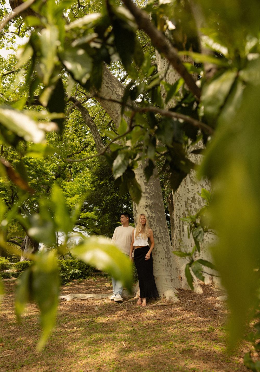 A couple standing together beneath a large tree on a peaceful garden path.