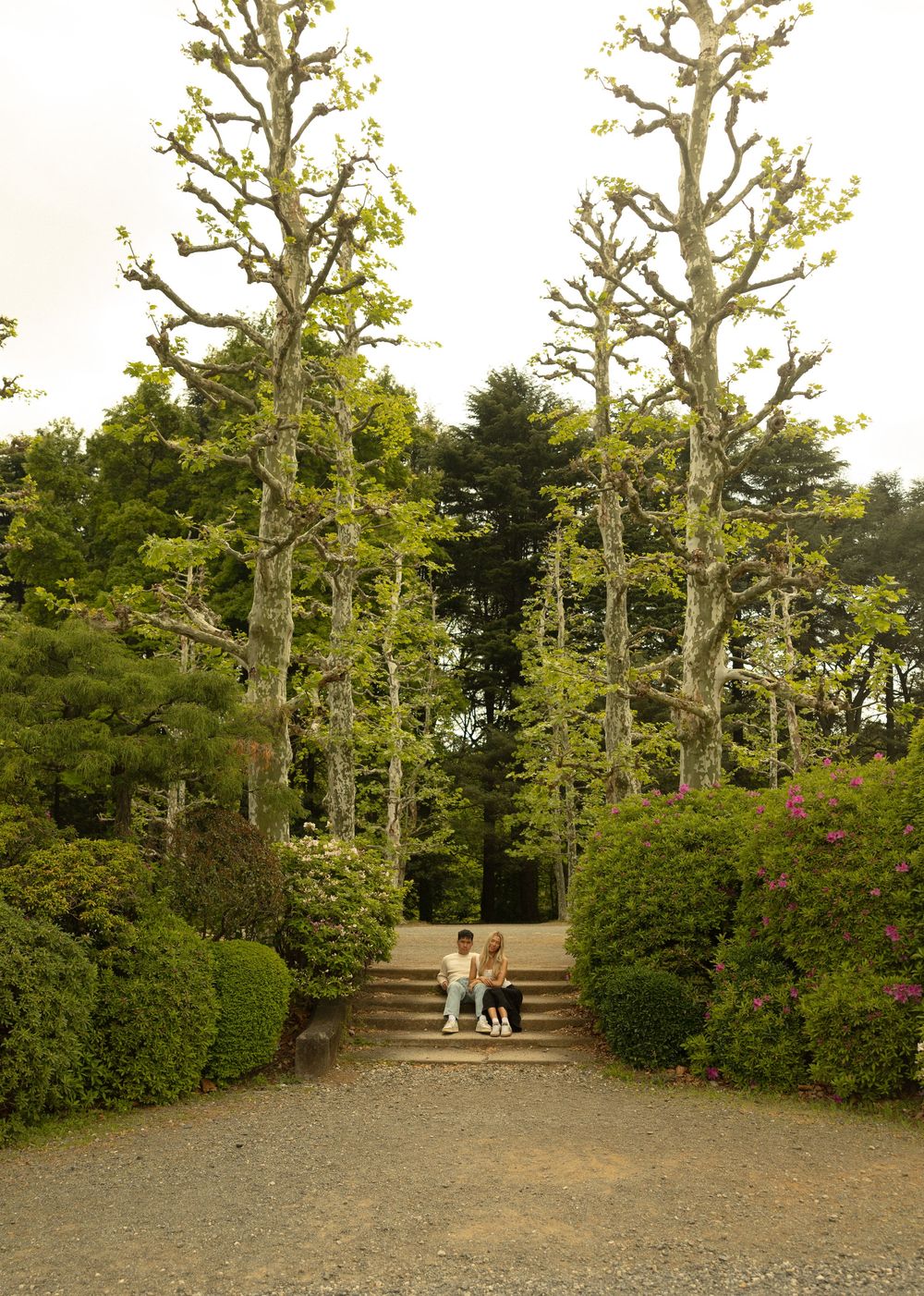 A gravel path lined with tall trees and manicured hedges leads through a formal garden.