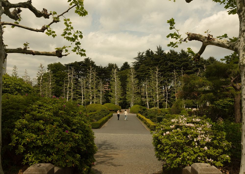 Garden pathway with evergreen trees and flowering bushes leads towards distant mountains.