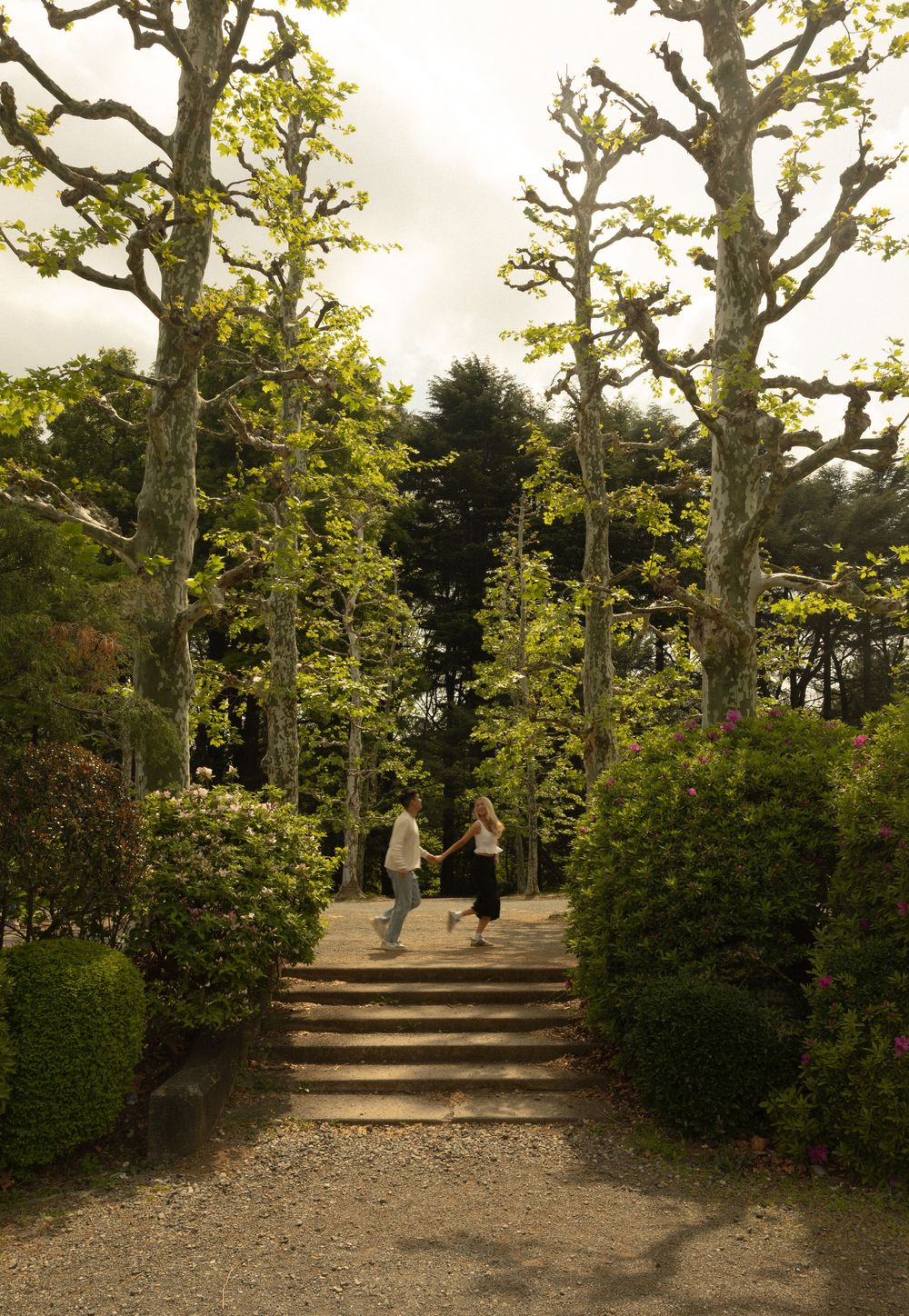 A romantic garden path with stone steps lined by tall trees and manicured hedges in a formal garden setting.