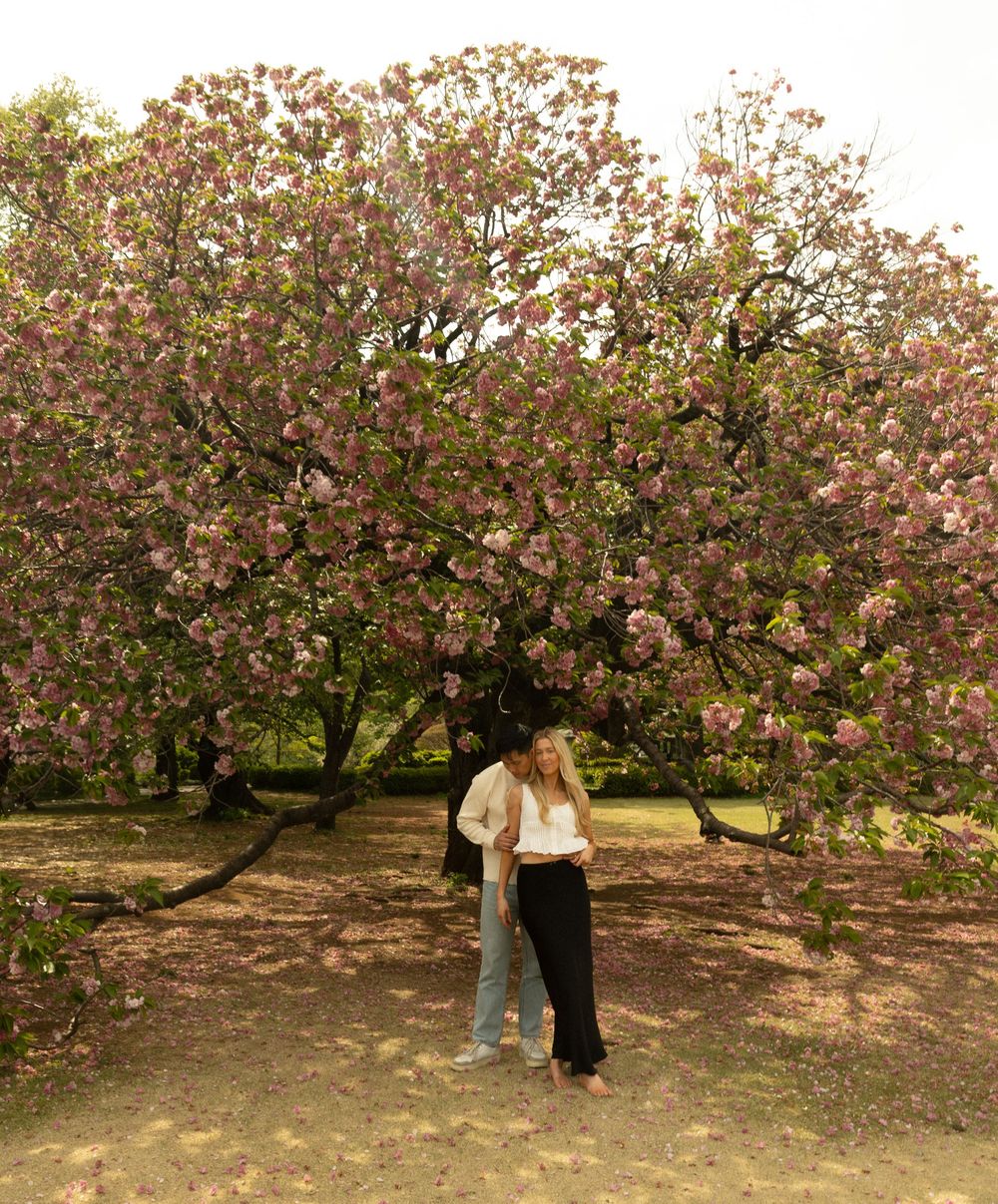 A couple shares an intimate moment beneath a blooming cherry blossom tree in a park.