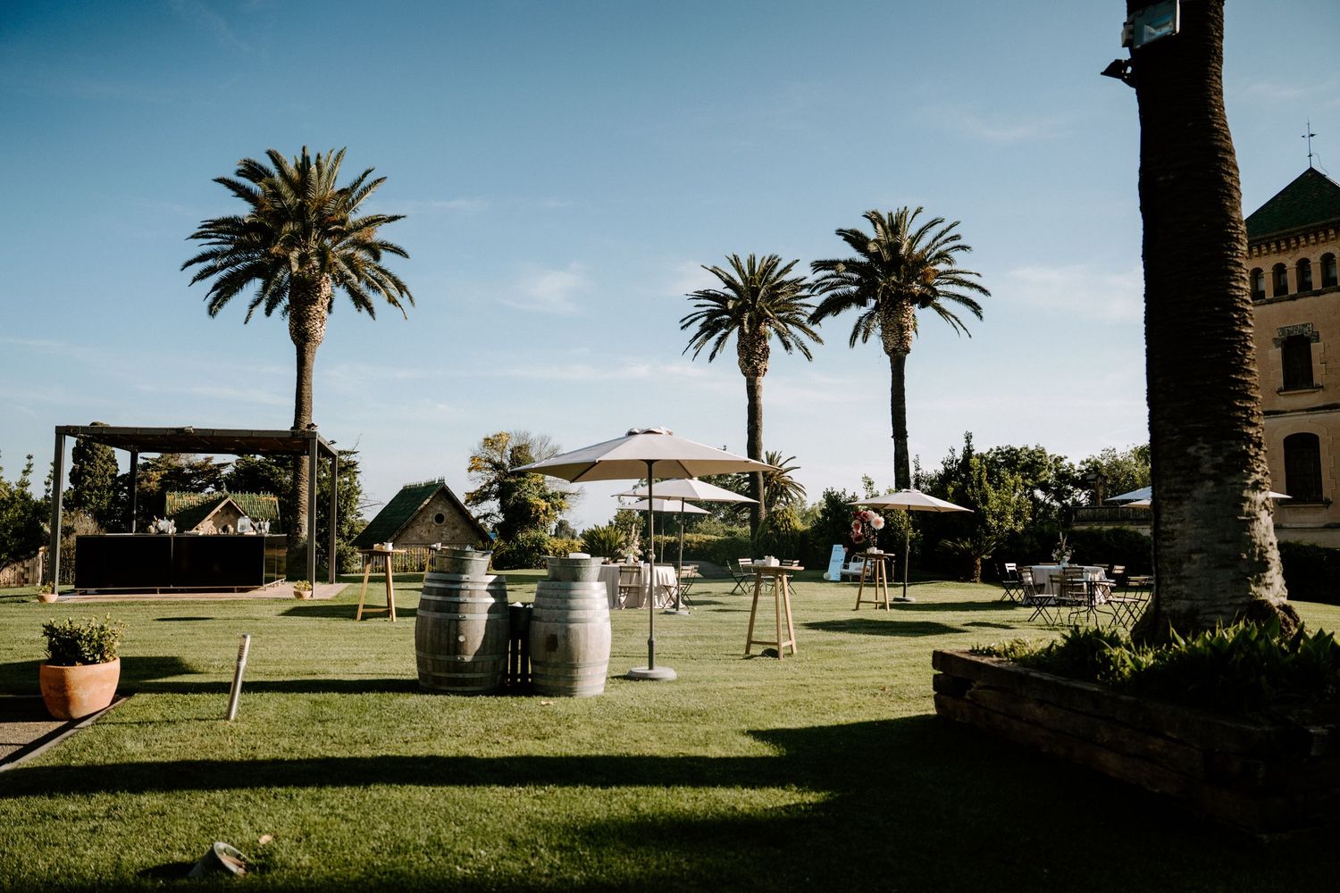Panoramic view of palm trees and buildings across a sunny landscape.