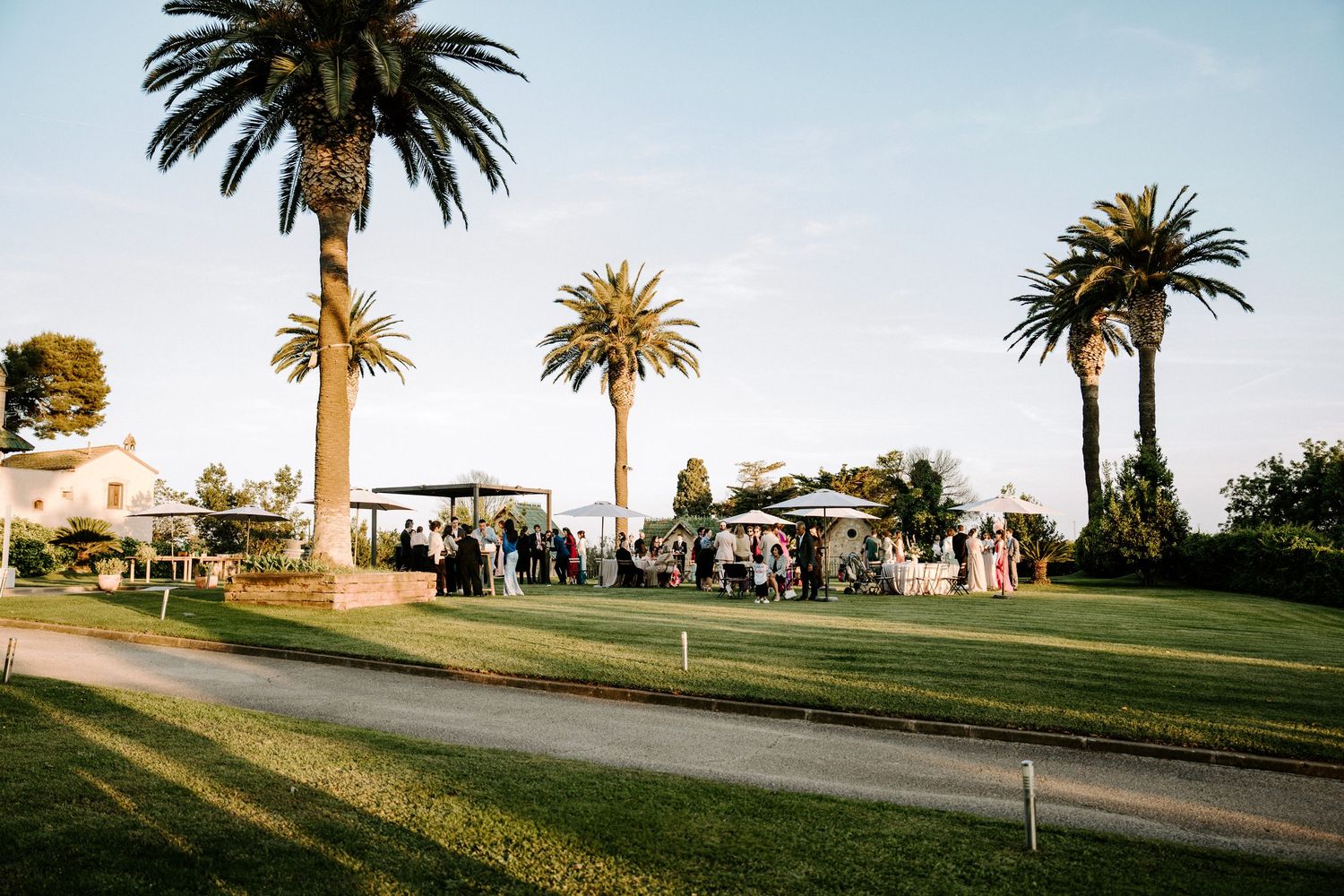 Palm trees line a scenic coastal wedding venue with ocean views at sunset.