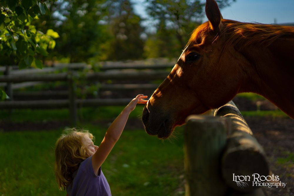 Hose and child sharing a moment at Heritage Ranch Red Deer Alberta.