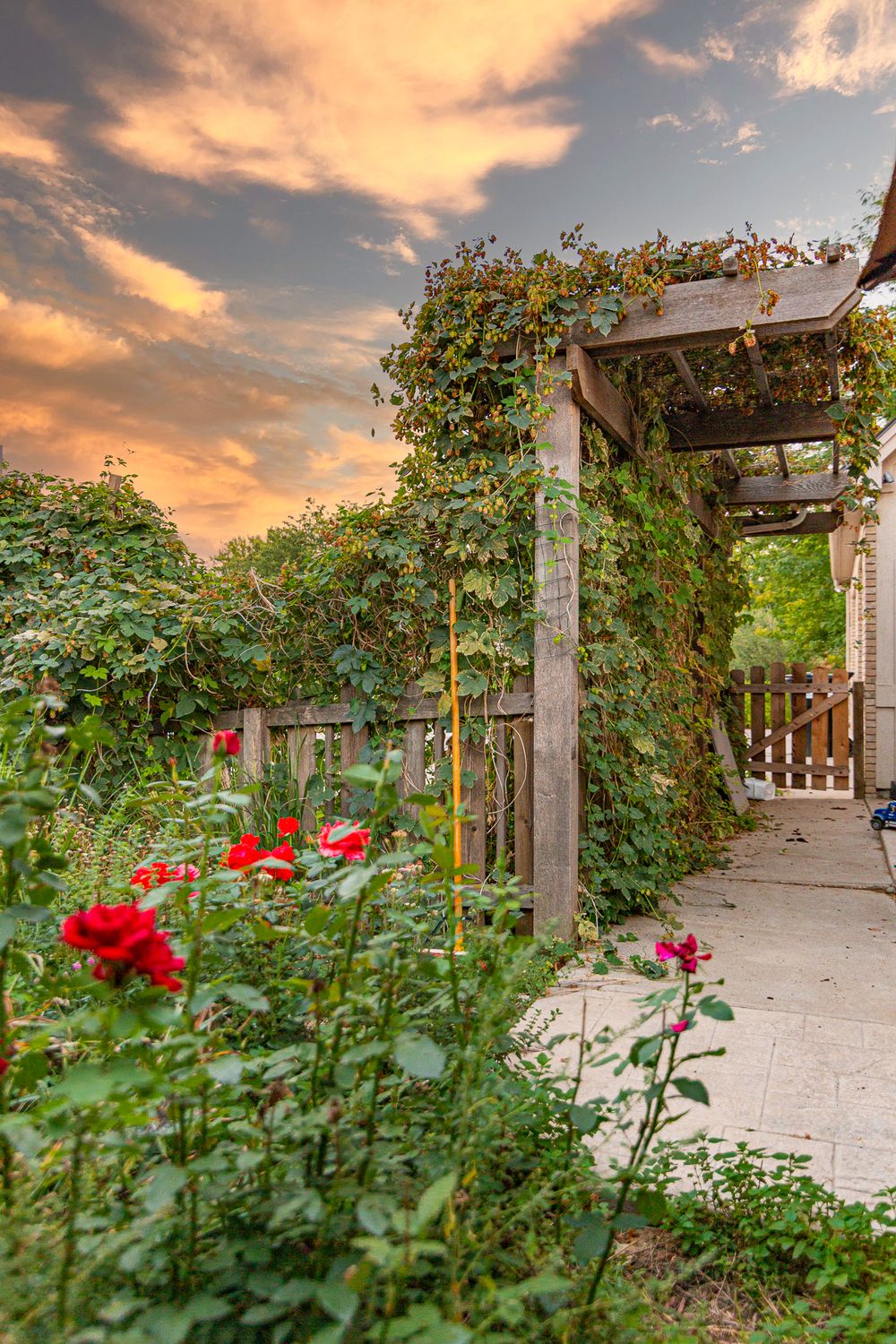 real estate photography in greeley Colorado