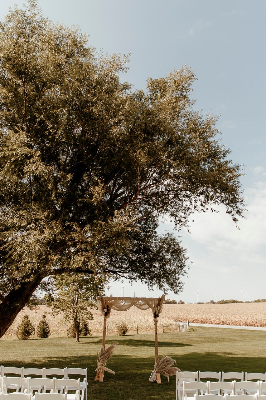 An outdoor wedding ceremony setup with white chairs and a fabric-draped arch under a large tree beside a cotton field.