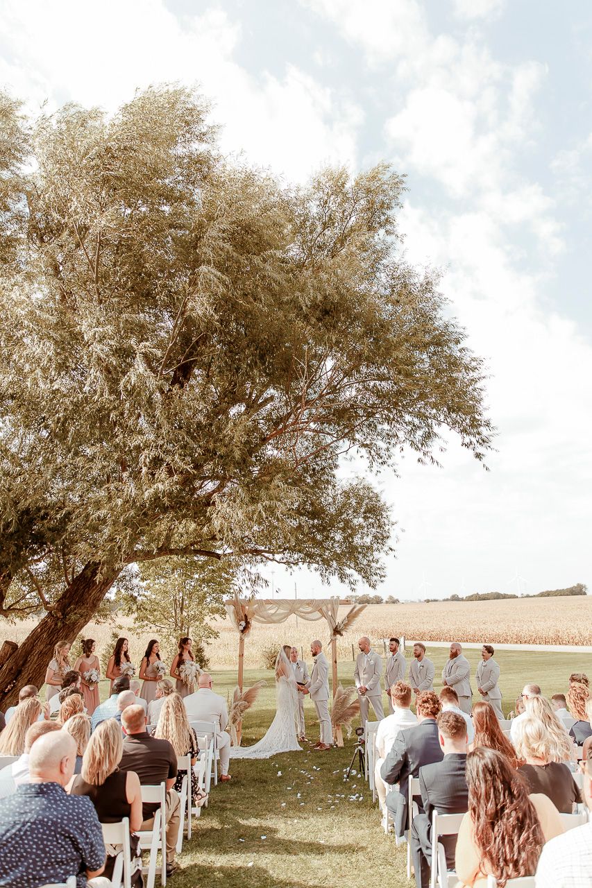 An outdoor wedding ceremony under a large tree with guests seated on white chairs in a sunny field.