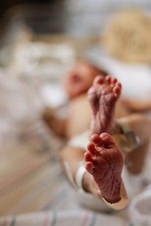Close-up photo of tiny newborn baby feet against a soft, blurred background.
