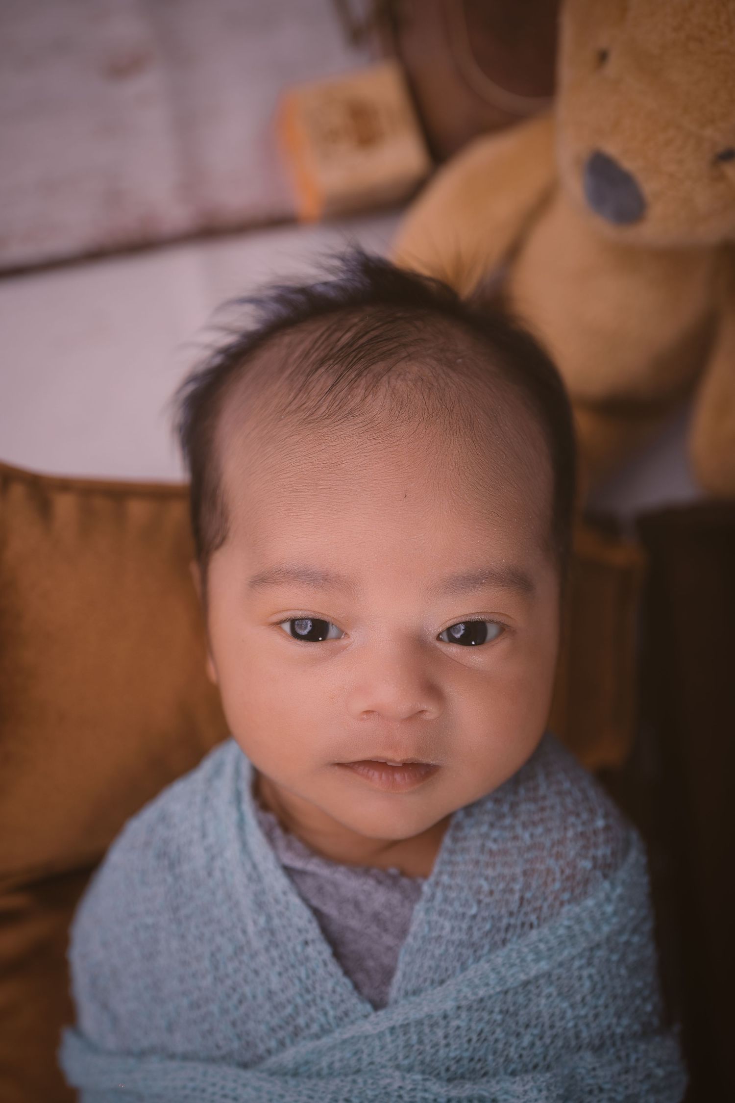 Newborn baby wrapped in soft blue swaddle blanket during professional photo session.
