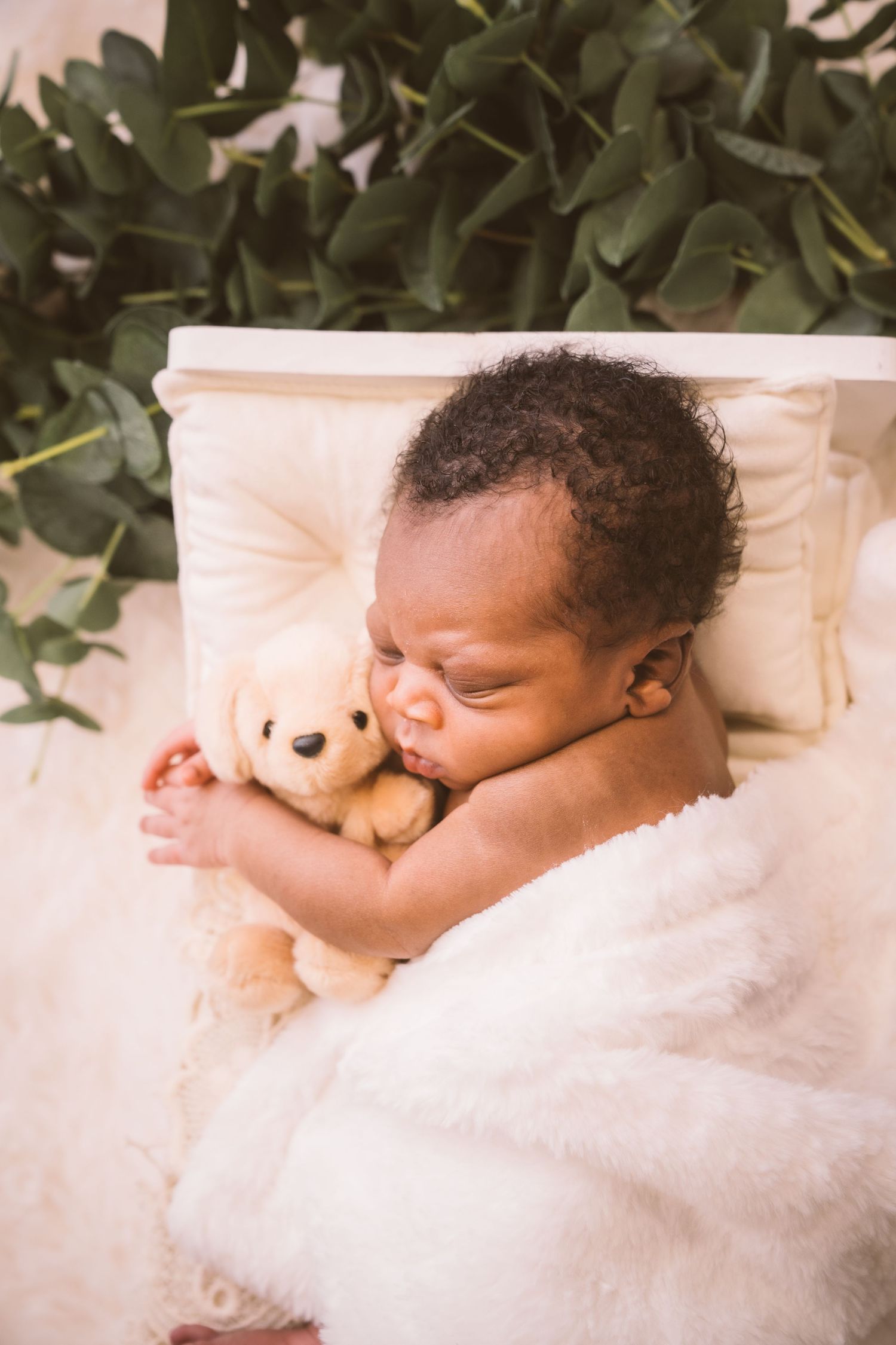 Sleeping baby cuddling small teddy bear against white blanket with green plants in background.