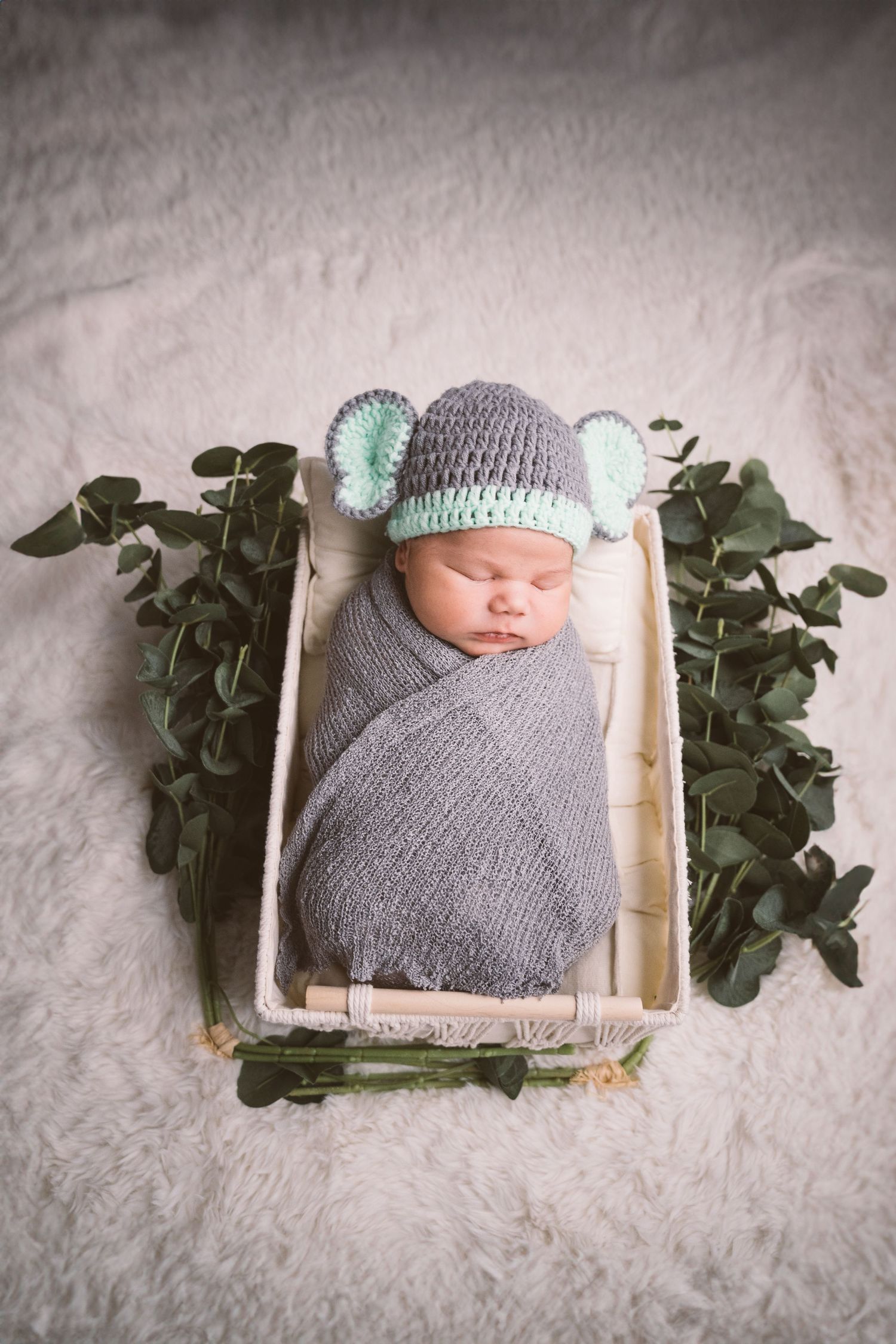 Newborn sleeping in wooden basket with gray wrap and knit hat, surrounded by greenery.