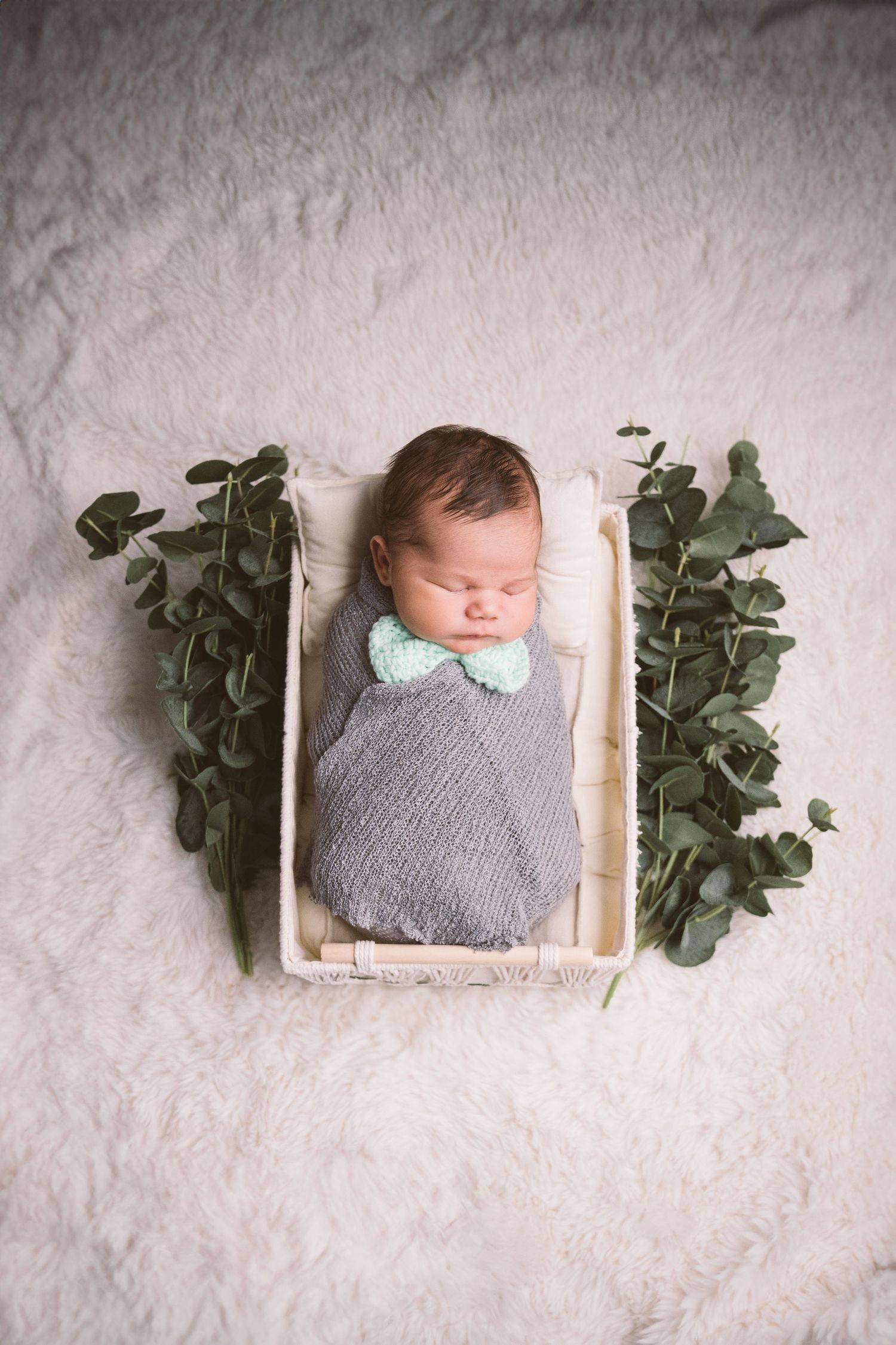 A sleeping baby in a small wooden crate with eucalyptus branches against a white backdrop.