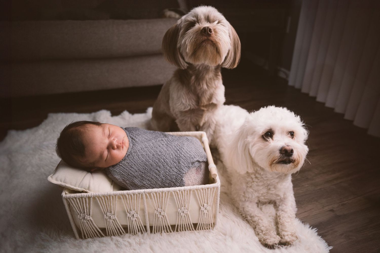 A white dog lies beside a wooden crate containing a sleeping infant on a light colored floor.