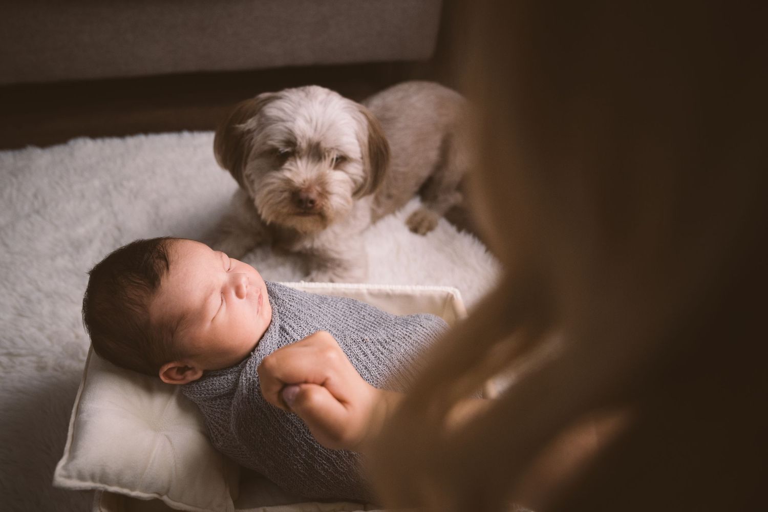 A sleeping infant rests in a wooden box while a fluffy white dog keeps watch.