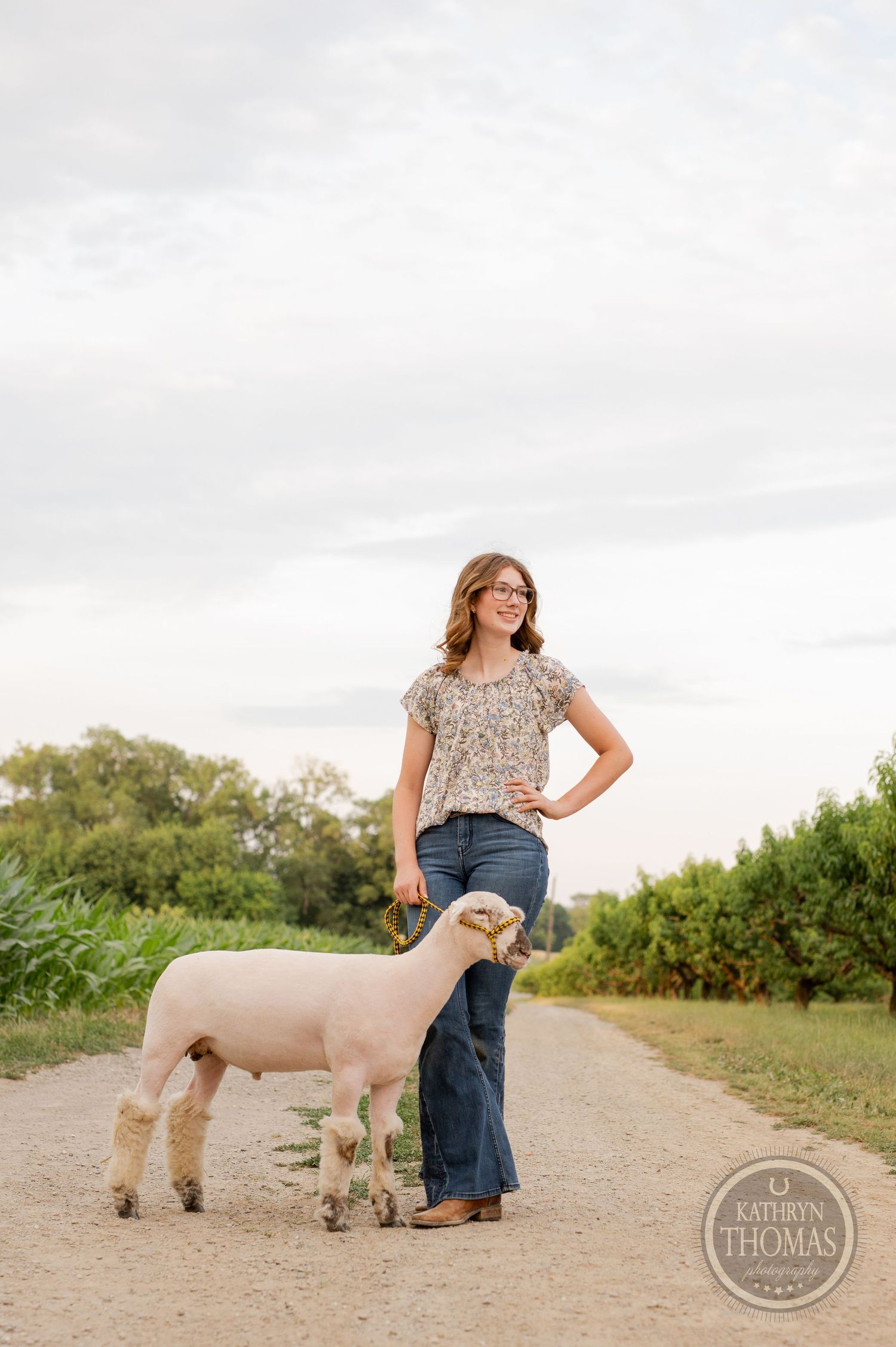A sheep poses calmly on a dirt road bordered by trees and tall grass.