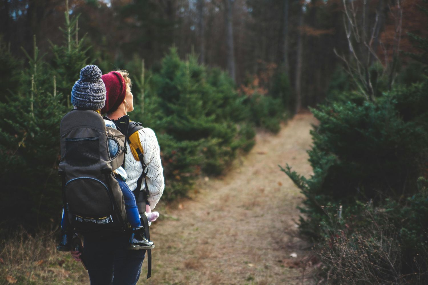 Someone wearing a winter hat carries a child while hiking along a dirt trail through evergreen trees.