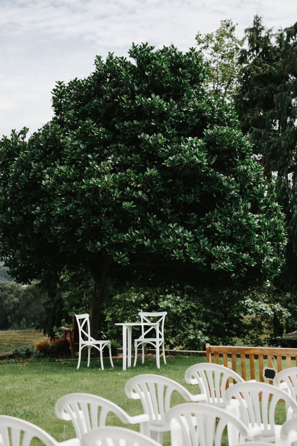 White chairs and tables arranged outdoors for a garden event under a large leafy green tree on a cloudy day.