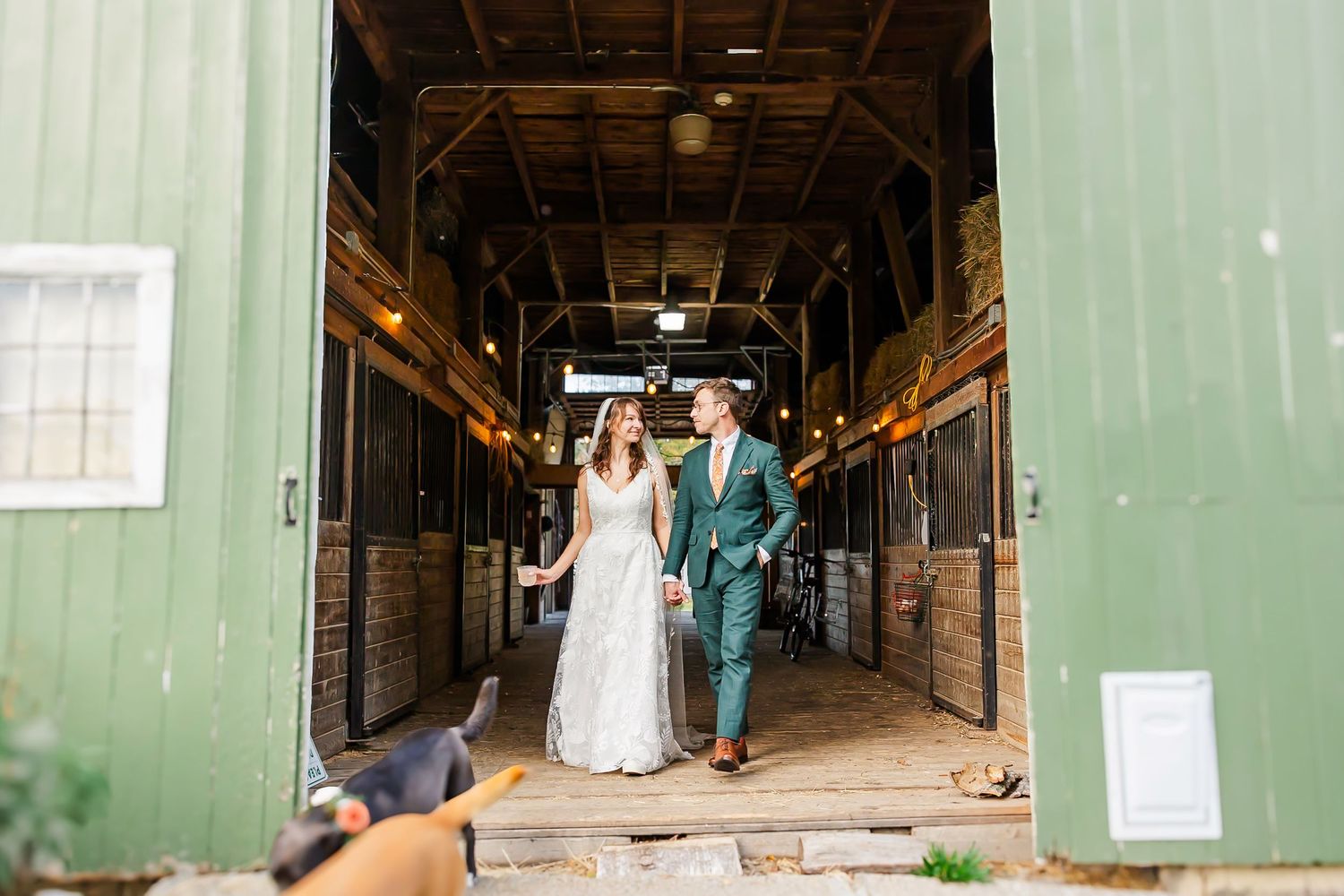 A wedding couple walks down a rustic wooden barn aisle with green walls and natural lighting streaming in.