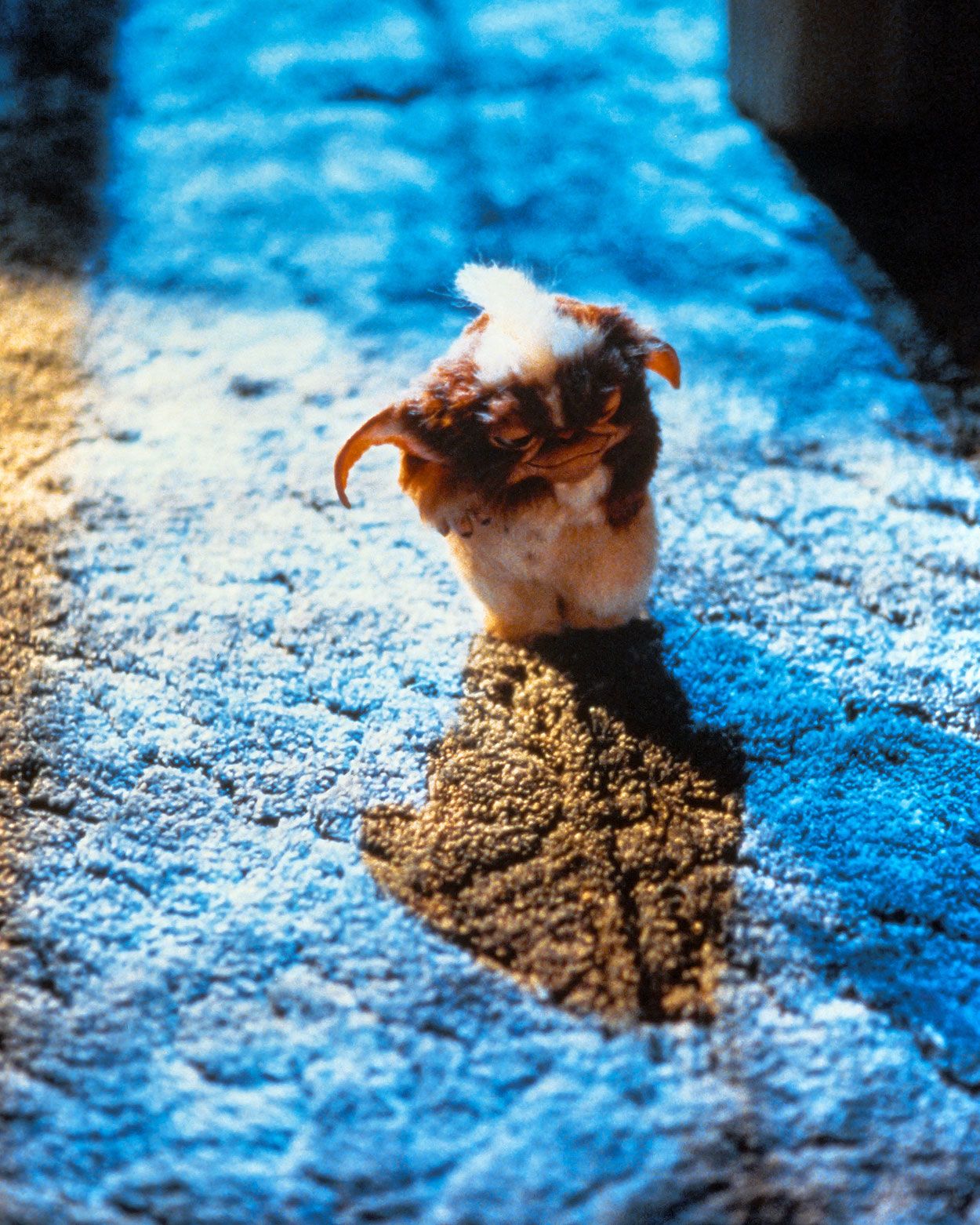 Stripe mogwai sneaking out