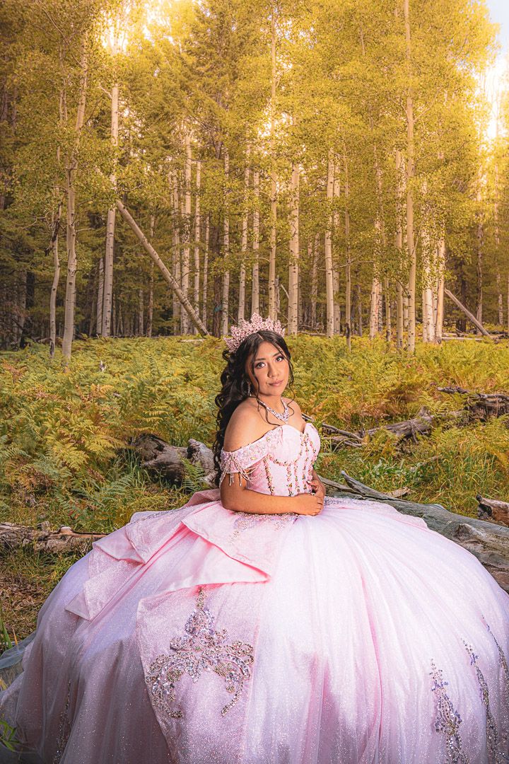 A dreamy pink ballgown creates a fairytale scene among tall aspen trees at sunset.