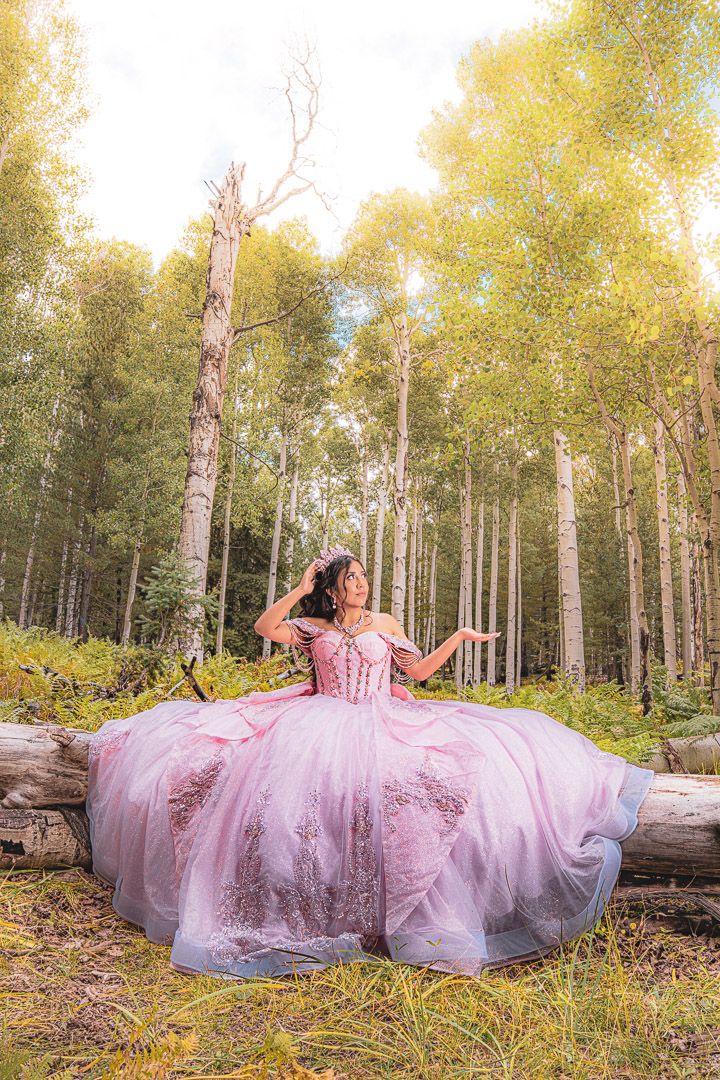 A flowing pink princess gown cascades over fallen logs in a sun-drenched aspen forest.