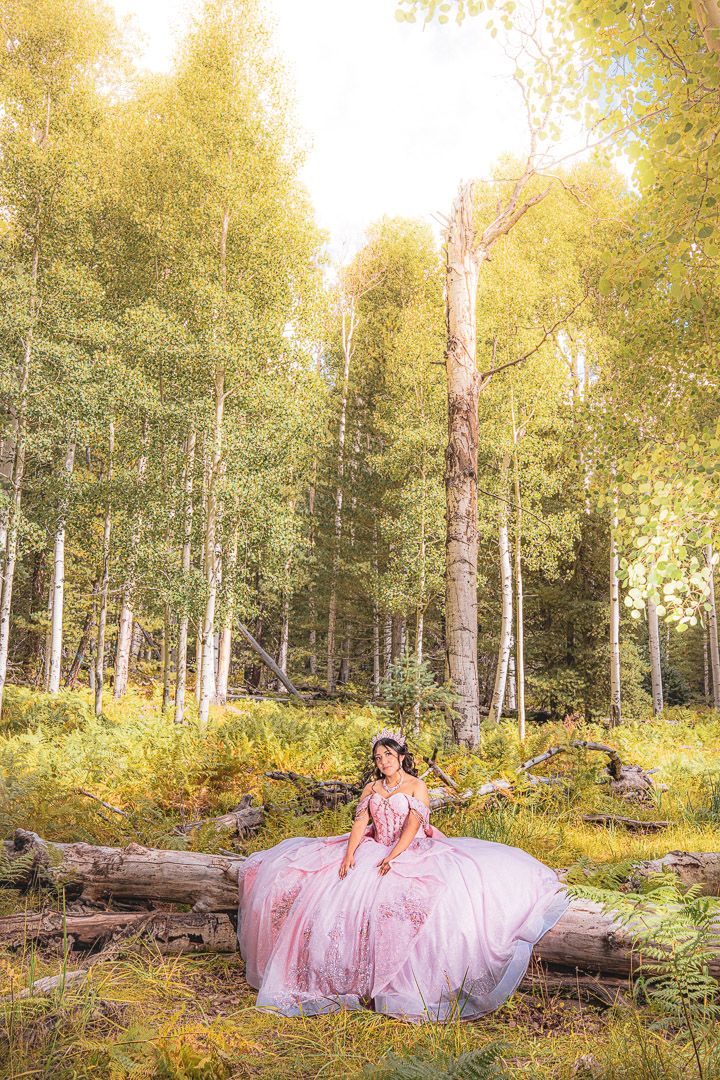Ethereal pink gowns create a magical atmosphere in a sun-dappled aspen grove during golden hour.