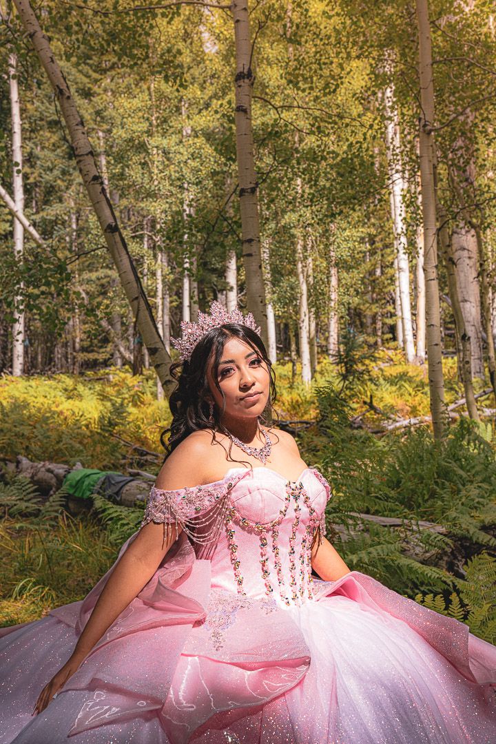 A pink quinceañera dress sparkles in a sunlit forest setting with birch trees and ferns in the background.