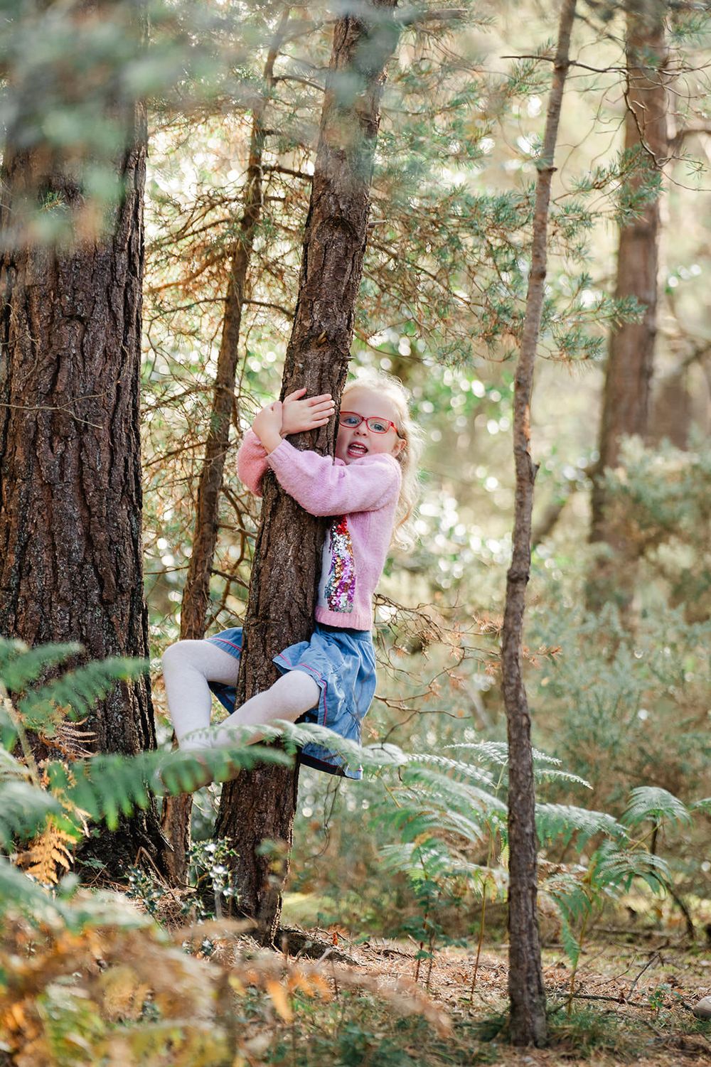 A small child in pink and denim plays among tall pine trees and ferns in a sunlit forest setting.
