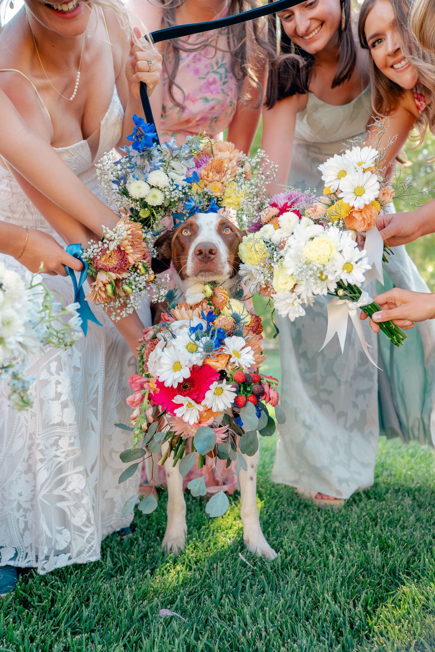 Dog adorned with colorful flowers poses with bouquets at wedding celebration.
