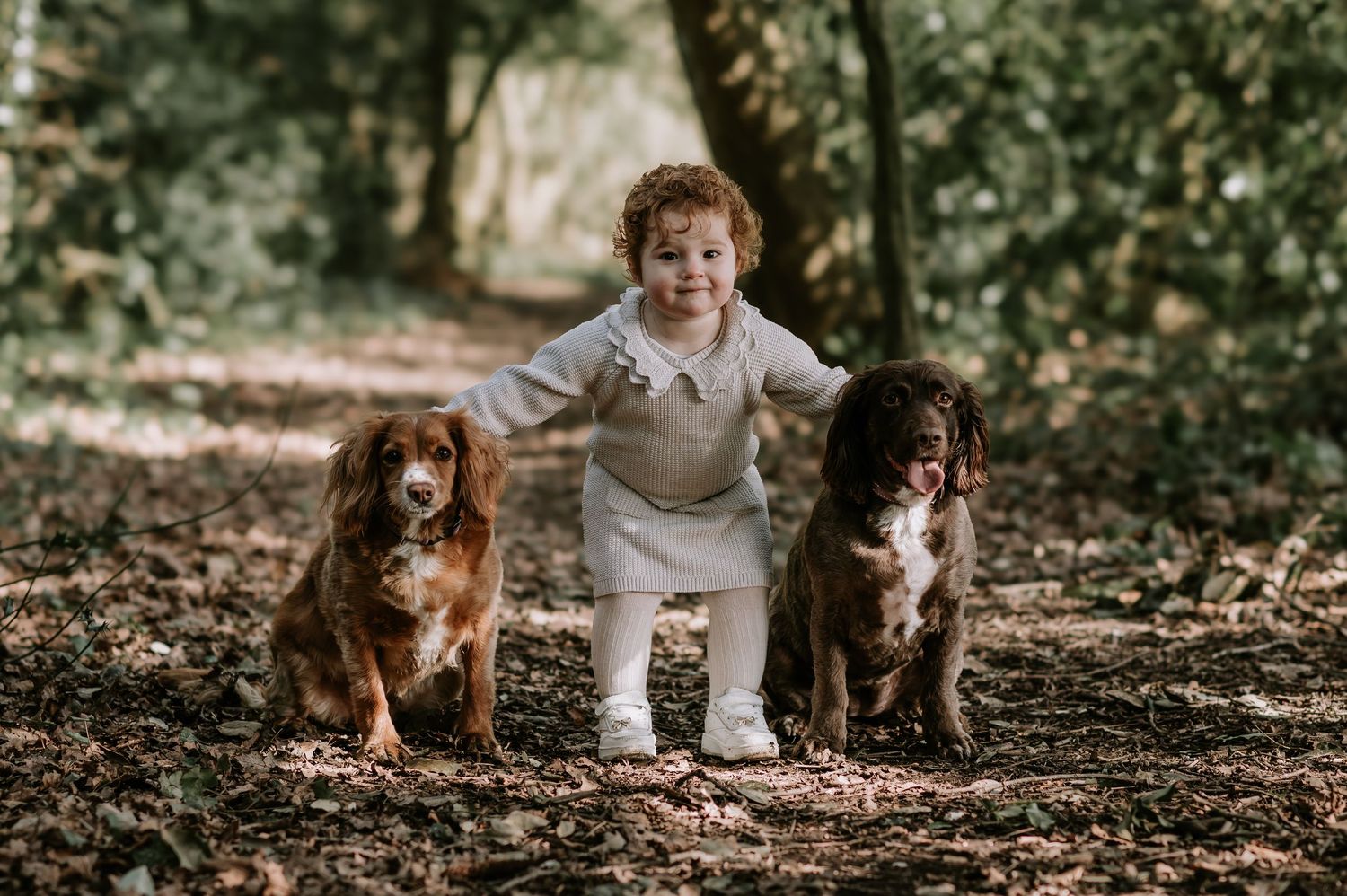 Young child in light colored clothing stands between two brown dogs on a forest trail in autumn.