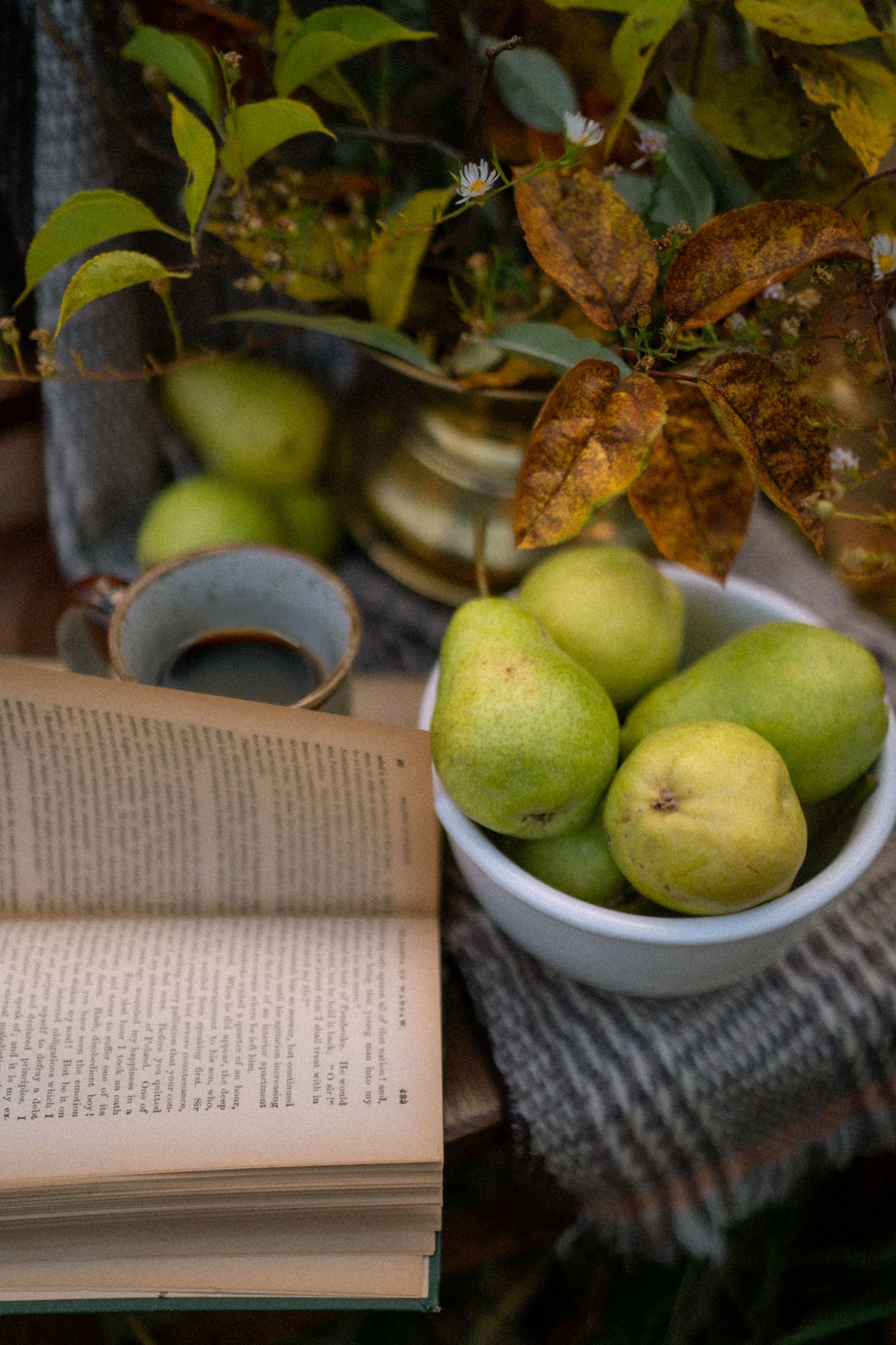 Fresh green apples in white bowl next to open book with autumn leaves in background.