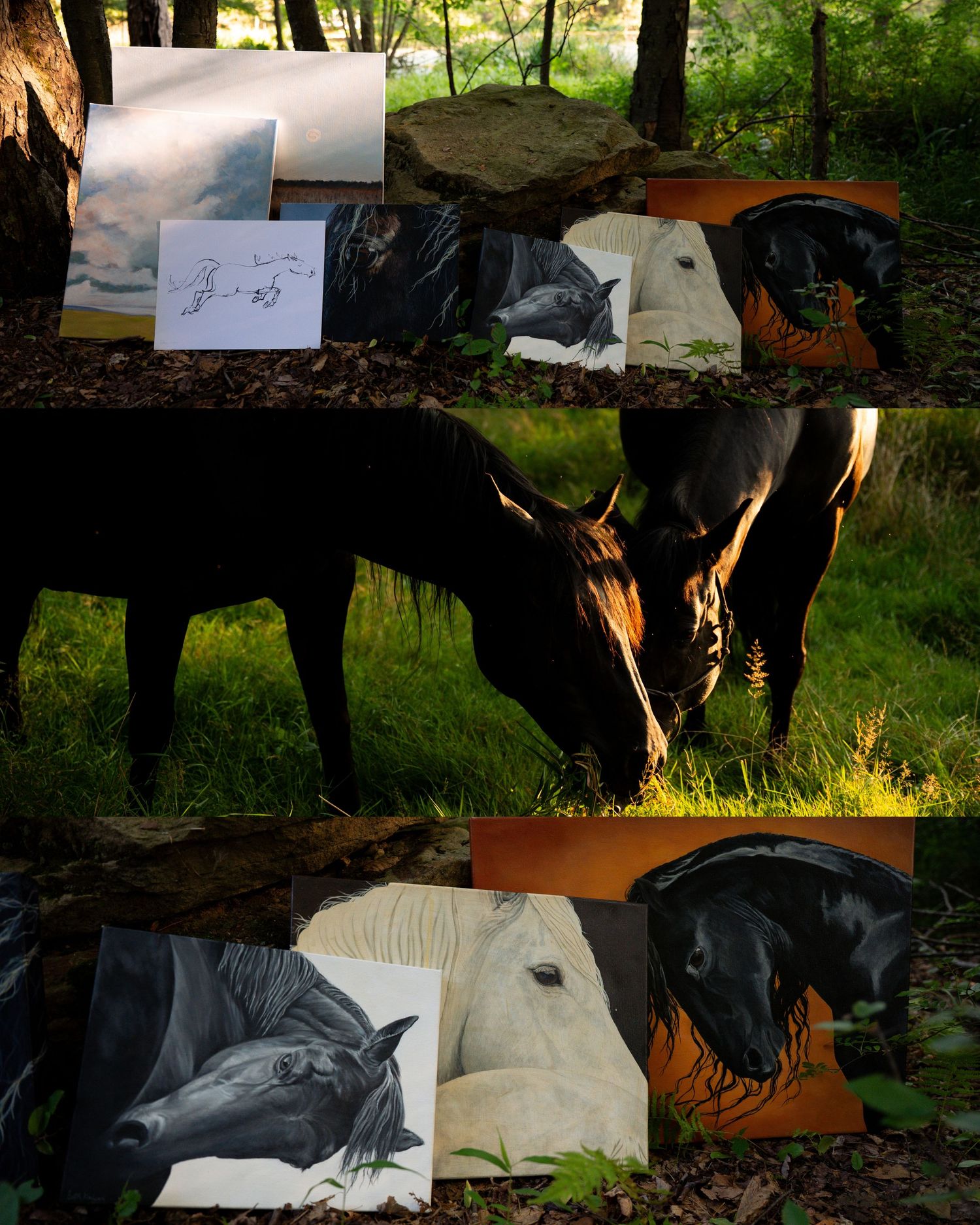 A series of black and white photographs laid out on grass showing artistic nature compositions and sketches.