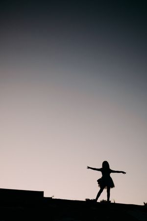Silhouette of a person with arms outstretched standing on a rooftop against a dusky sky.