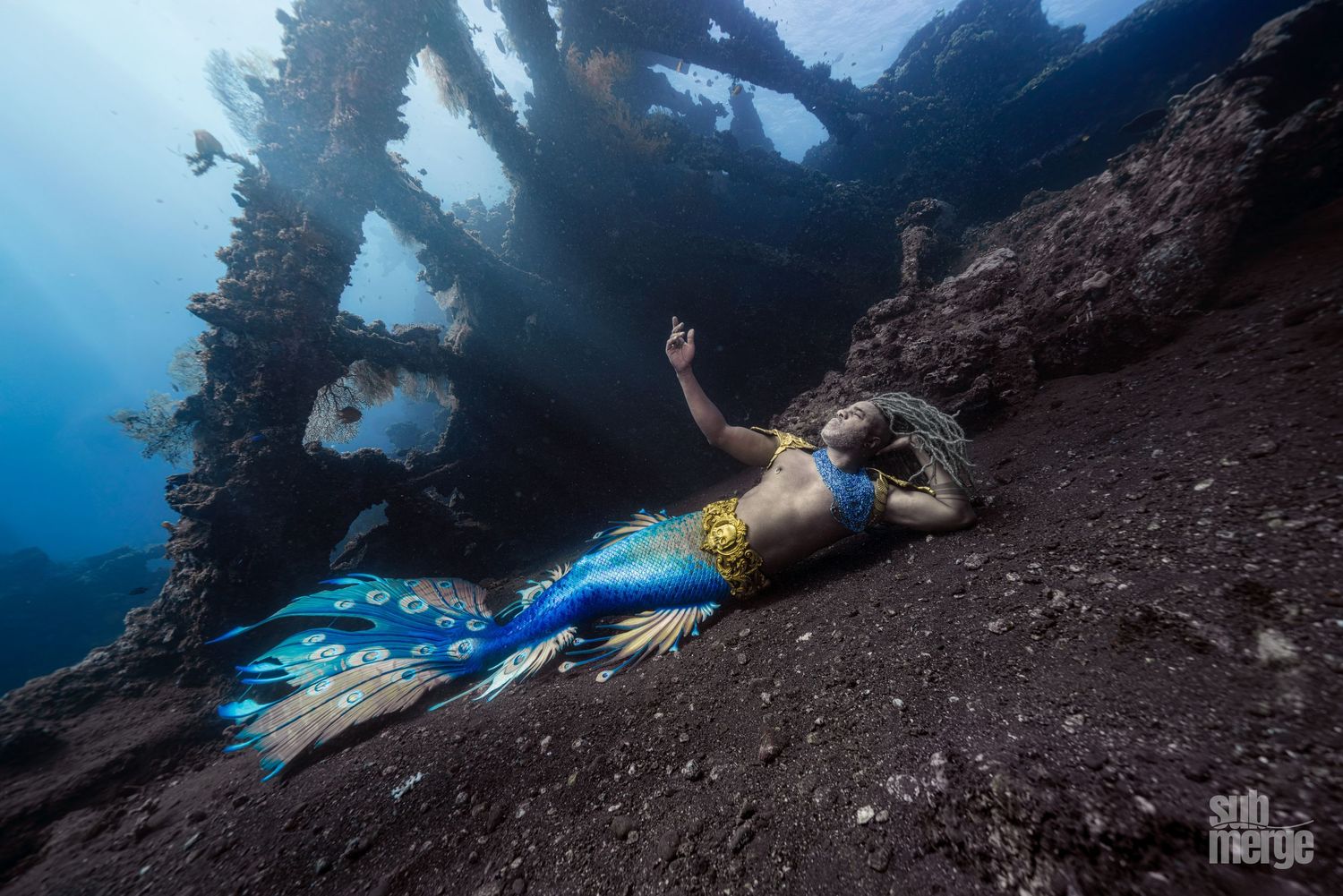 A colorful parrotfish swims along a dark rocky reef wall in clear blue tropical waters.